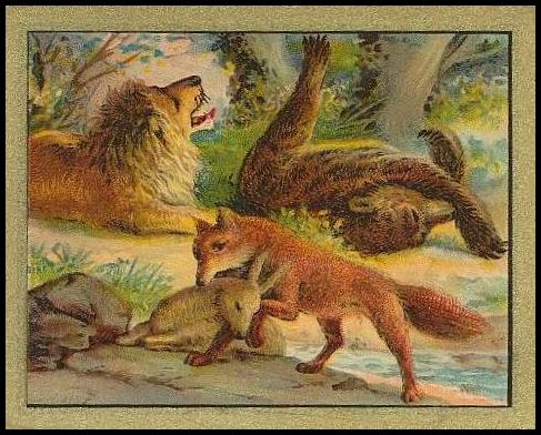 82 The Lion, The Bear, And The Fox
